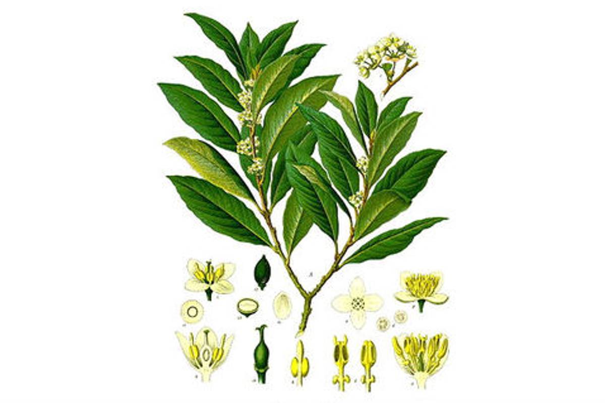 $!Bandera de México tiene un error