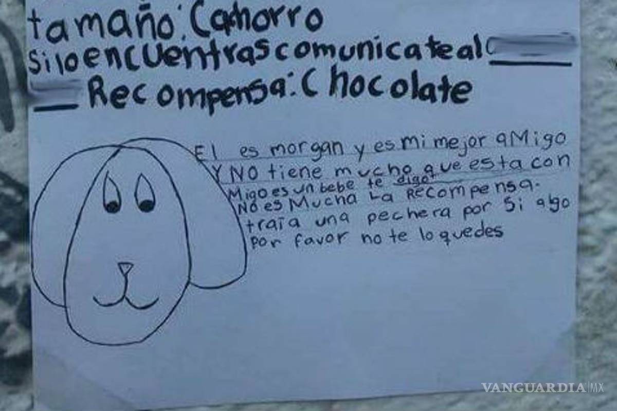 Halla niña a su perrito gracias a buscarlo con dibujos