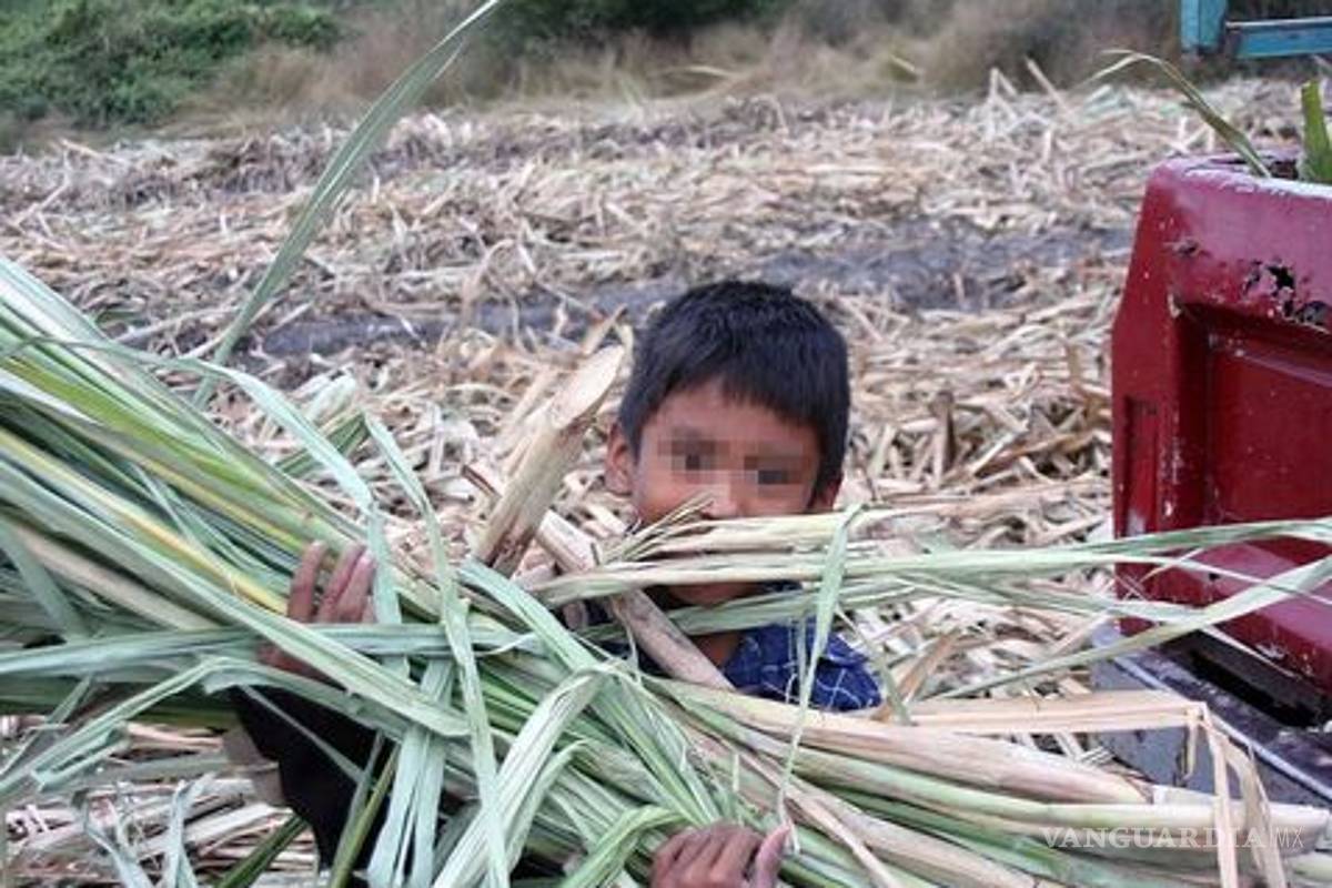 Campos de Coahuila, trabajados por explotación de jornaleros; CNDH emite recomendación