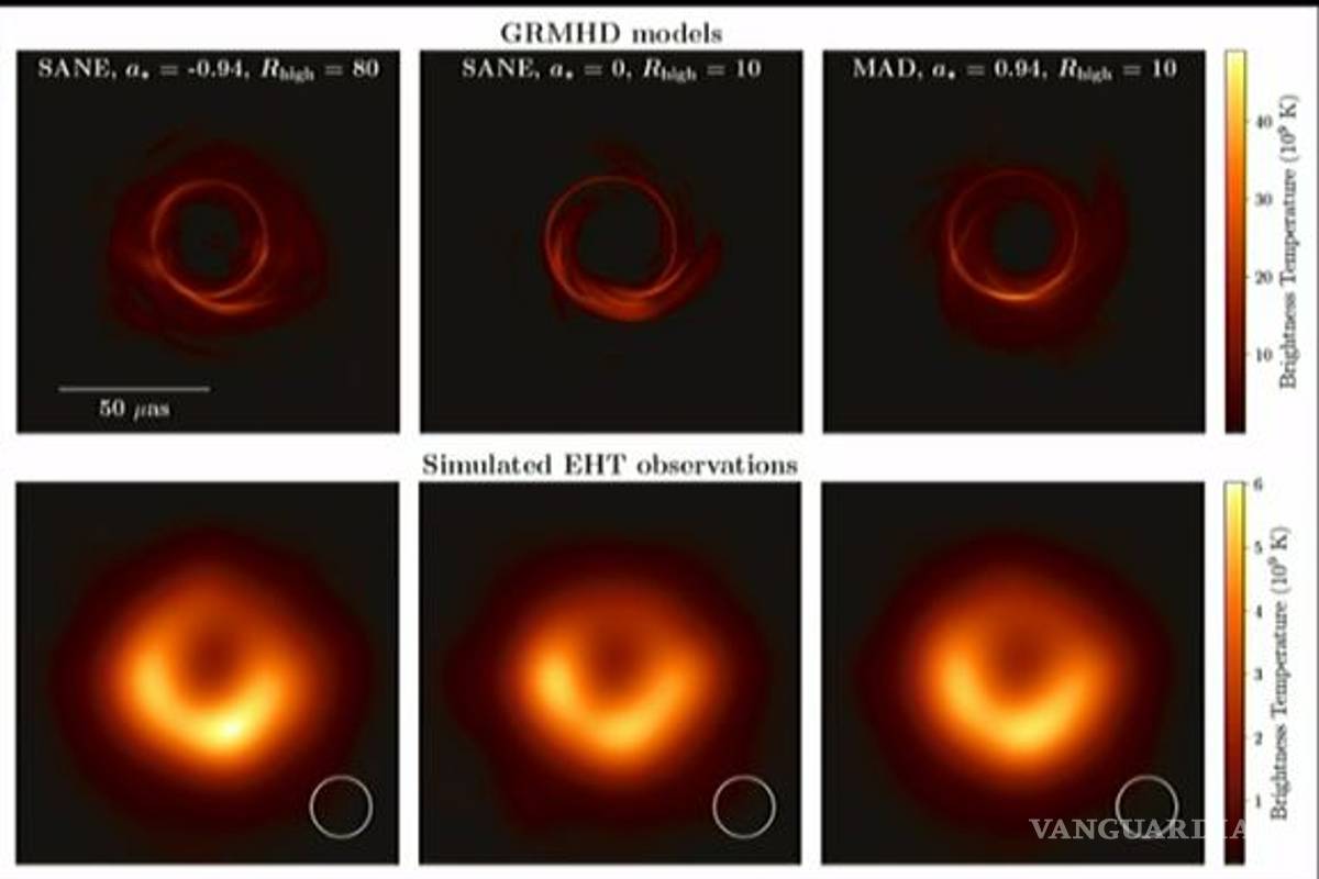 ¿Qué son los agujeros negros y cuál es su función dentro del universo?