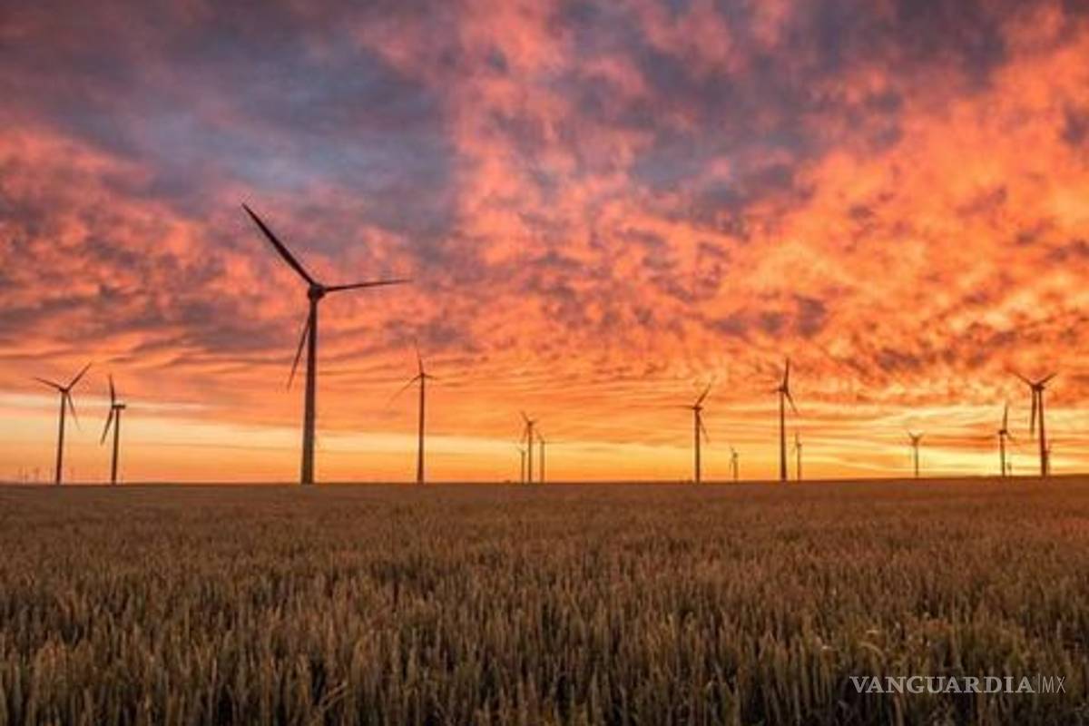 Pese a violencia, Tamaulipas es 8° en inversión extranjera