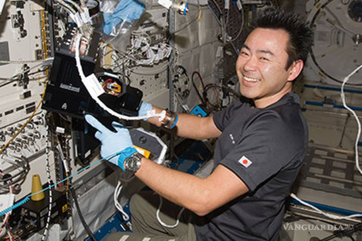 Japón pisará la luna en 2030