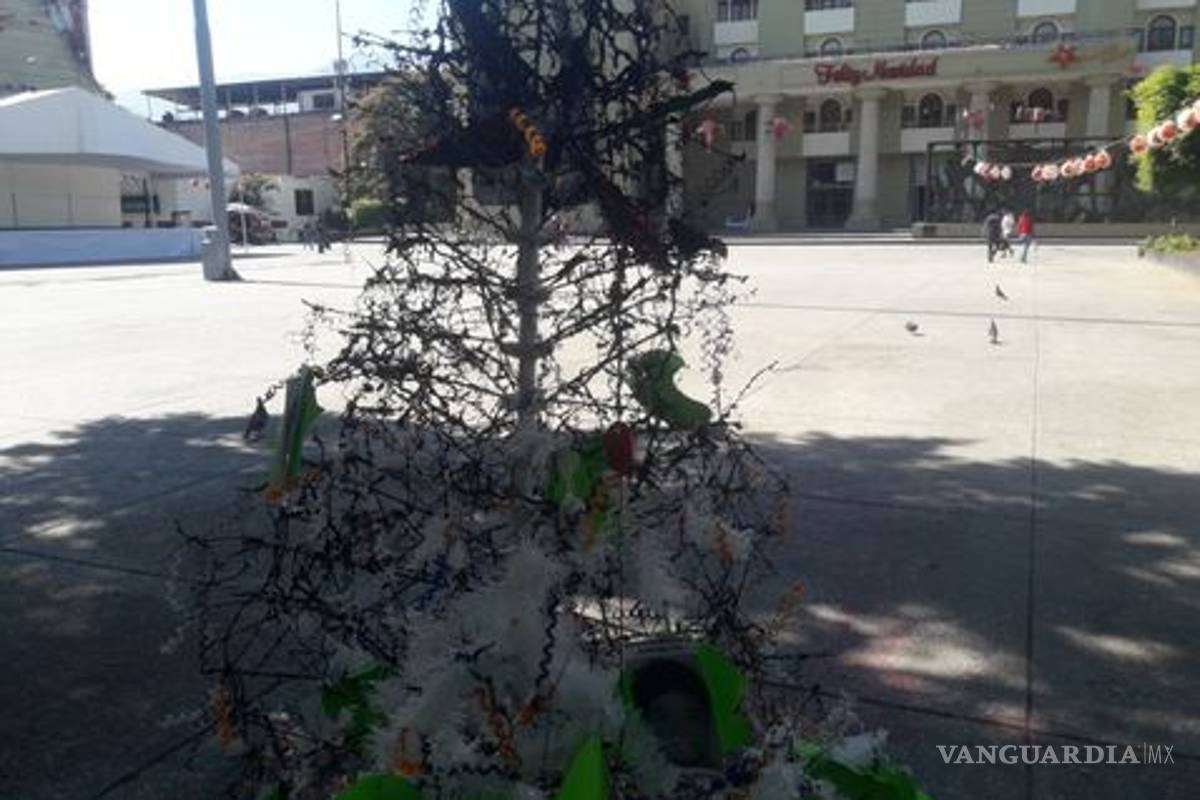 Queman árbol con imágenes de los 43 normalistas