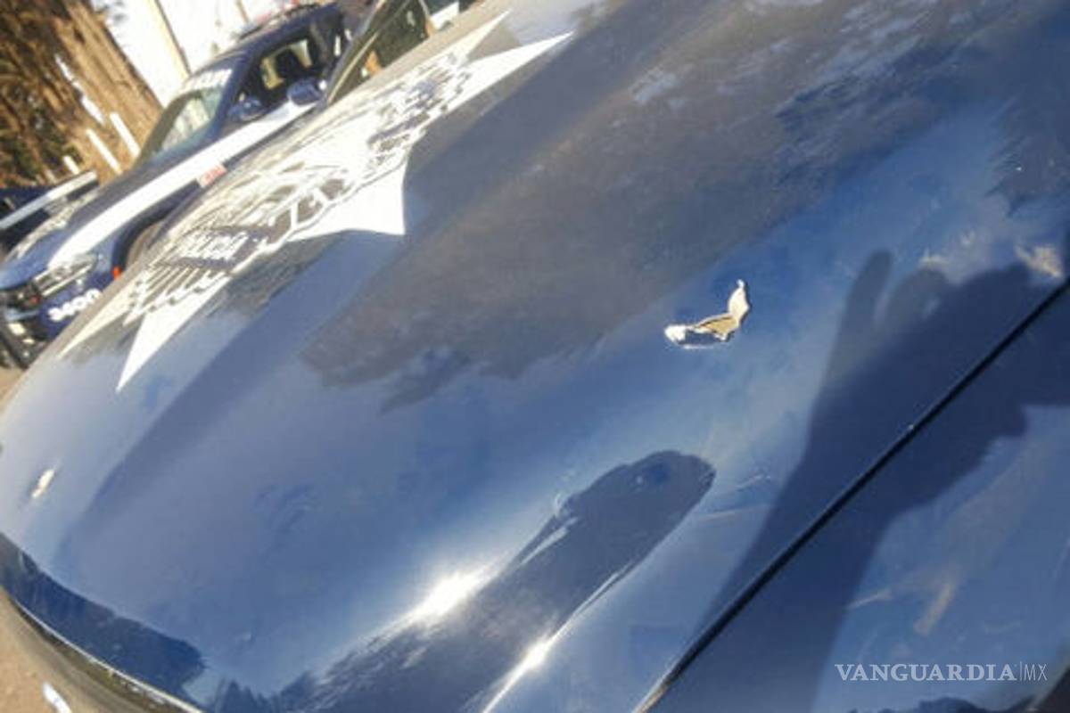 Reportan 4 muertos en Michoacán tras choque entre comuneros y policías