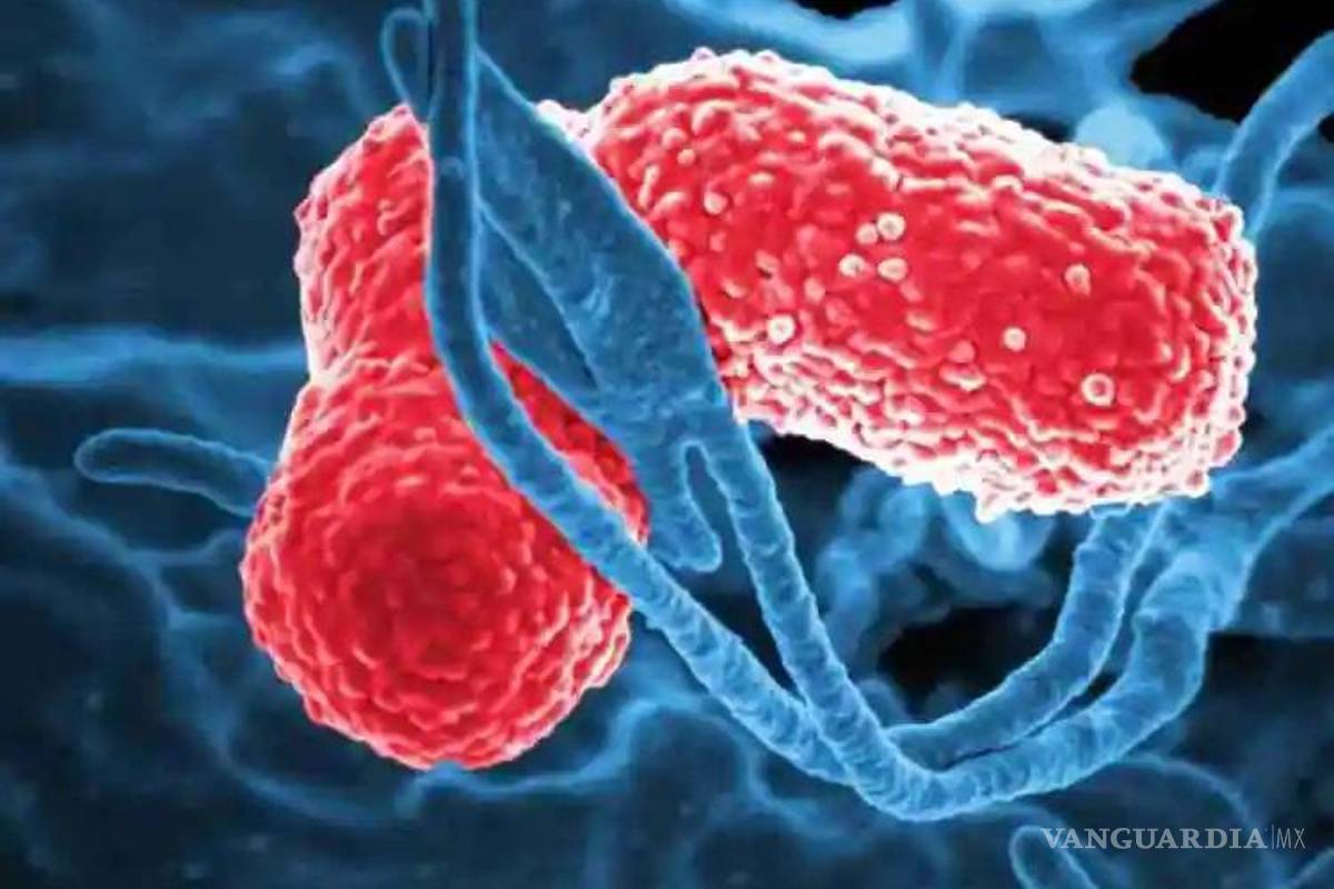 Brote de Klebsiella oxytoca está ‘bajo control’, asegura Salud del Edomex