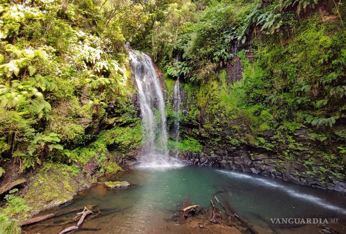 $!Cascada Parque Nacional de Ámbar.