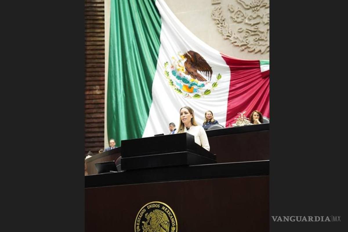 ‘Desaparición de órganos autónomos es un retroceso para la democracia’, dice diputada federal por Coahuila