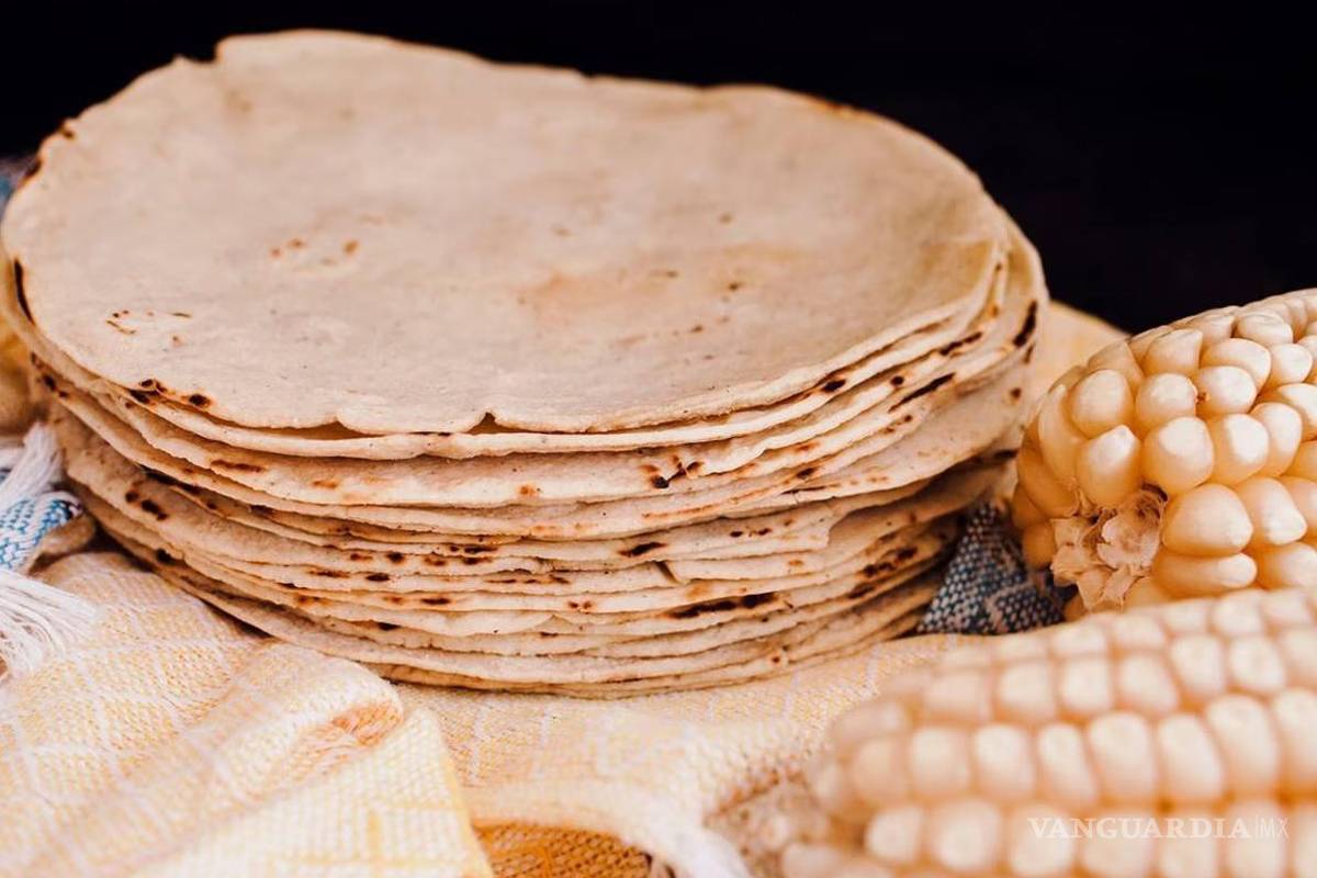 Empresas serán responsables del uso de maíz transgénico