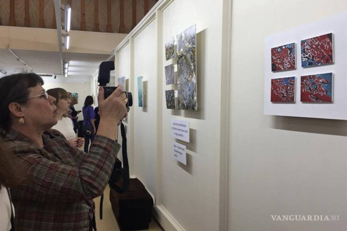 Exposición de la mexicana Selma Ancira inaugura sala en Museo de Elábuga