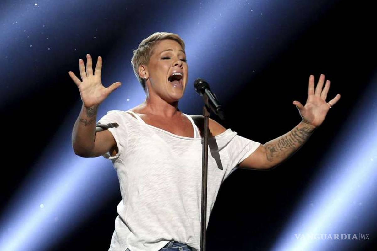 Pink interrumpe un concierto para consolar a una fan