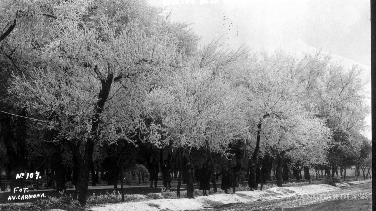 Saltillo y el manto blanco que dejó huella imborrable