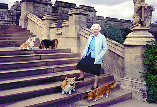 $!Poniatowska: ‘Leibovitz entró a mi casa como tanque de guerra’