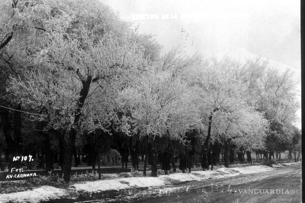 Saltillo y el manto blanco que dejó huella imborrable