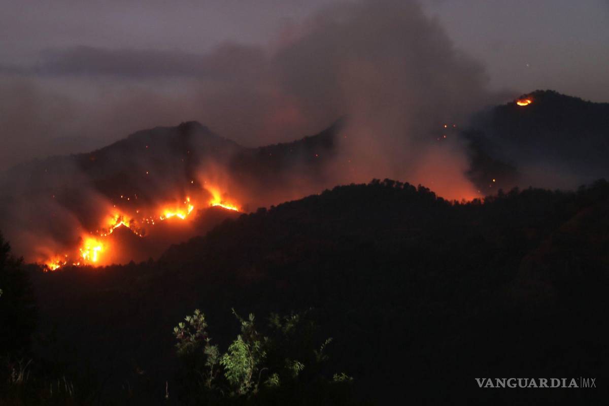 Actualmente México registra 123 incendios forestales activos con 52,315 hectáreas afectadas