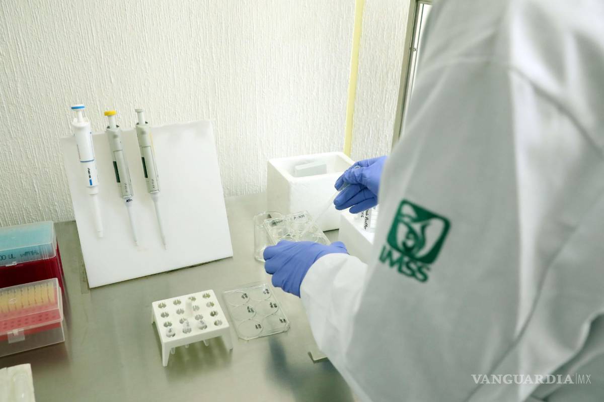 Lideran 5 dependencias quejas ante la CNDH