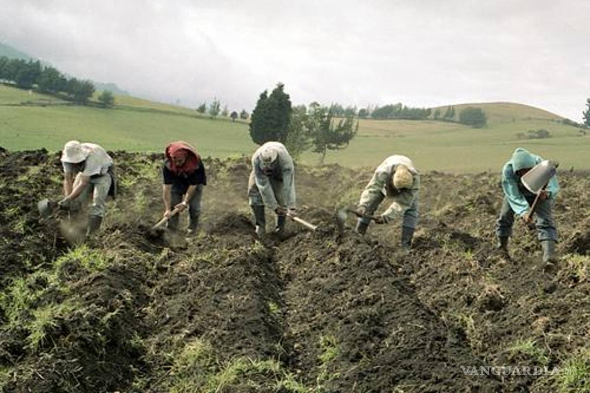 Se compromete PRI a impulsar el desarrollo rural