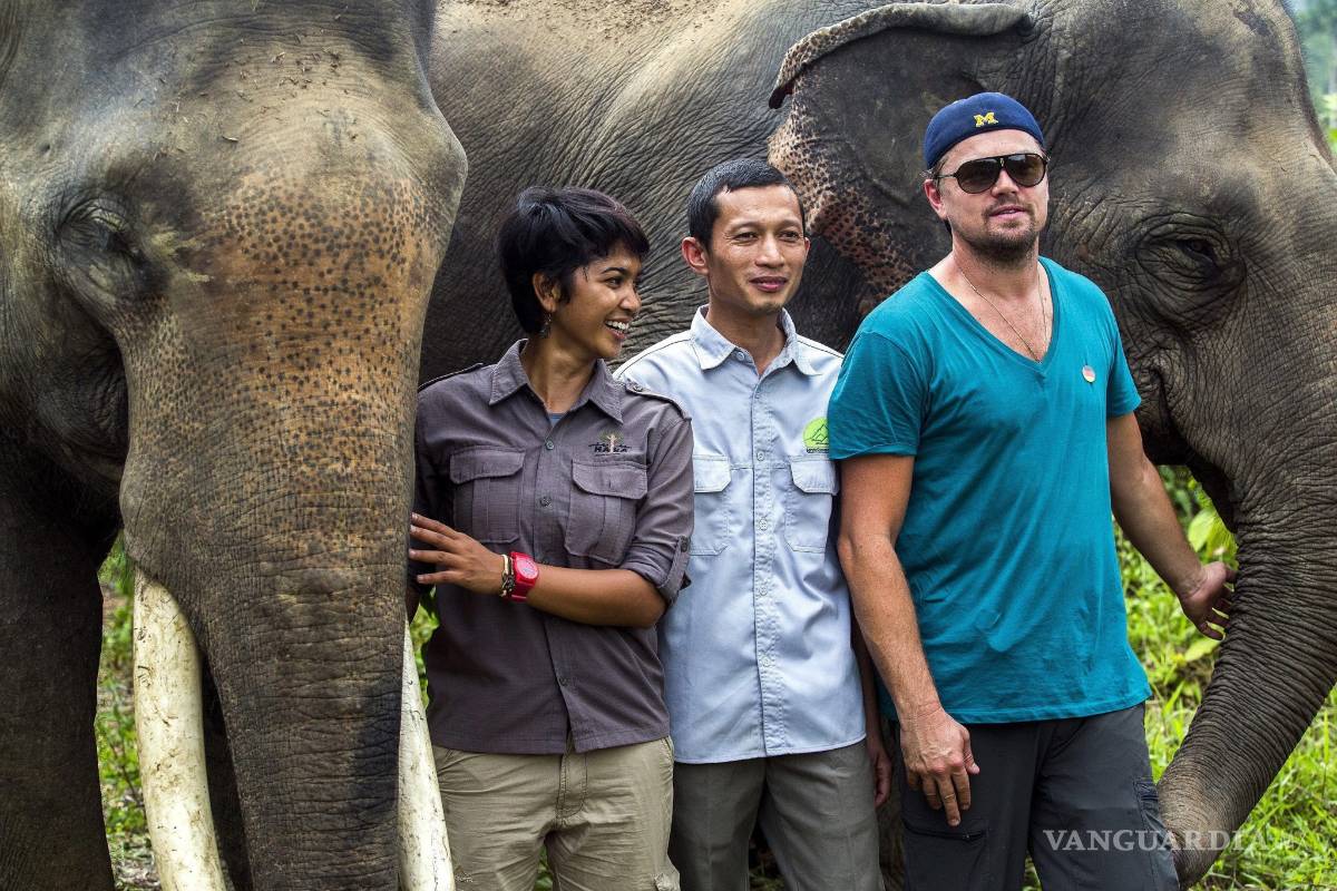 Leonardo DiCaprio visita el ecosistema de Leuser en Indonesia