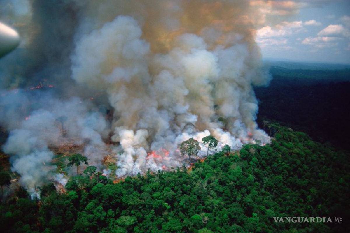 #PrayforAmazonia, llamado de auxilio en redes por masivo incendio en el Amazonas desde hace 16 días