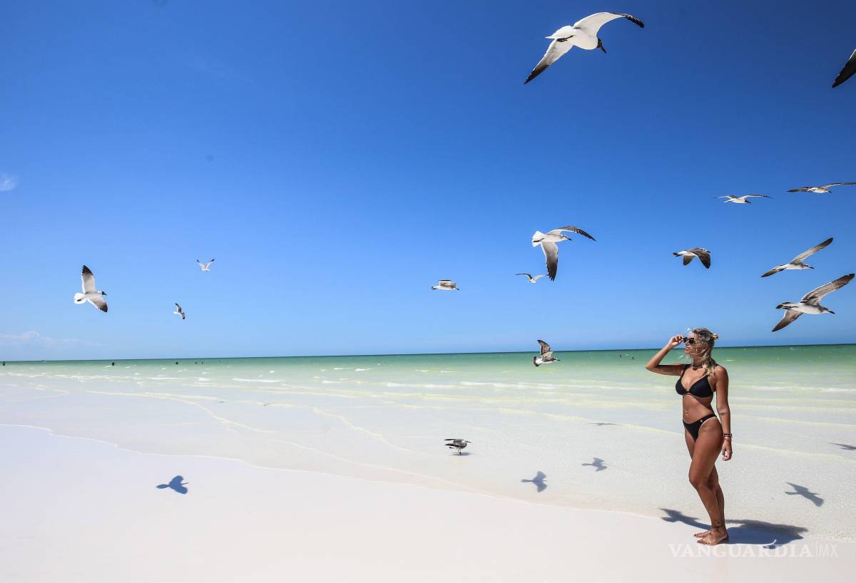 $!Holbox es una isla sin autos, con calles de arena y un ritmo pausado que te invita a dejar el celular y disfrutar del momento.