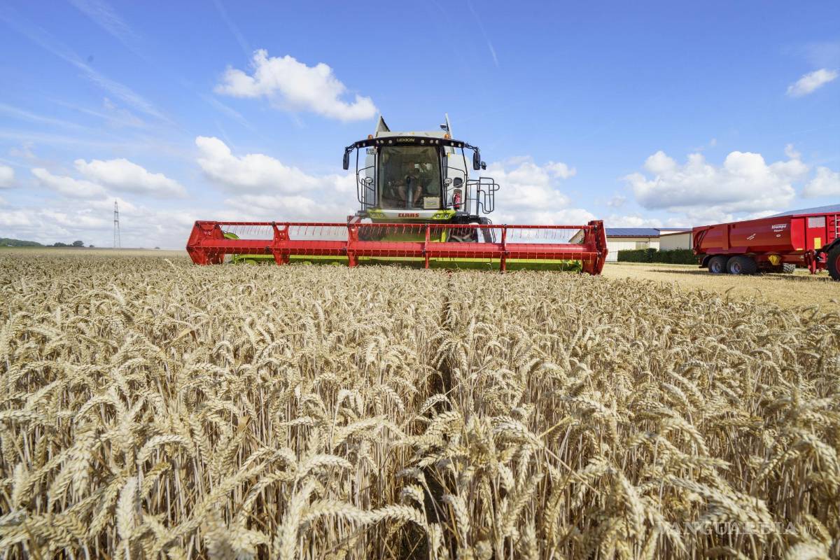 Pactan Ucrania y Rusia desbloqueo a cereales