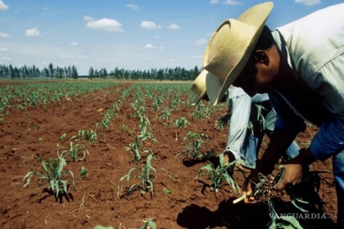 EU retiró restricciones agrícolas de mesas del TLCAN