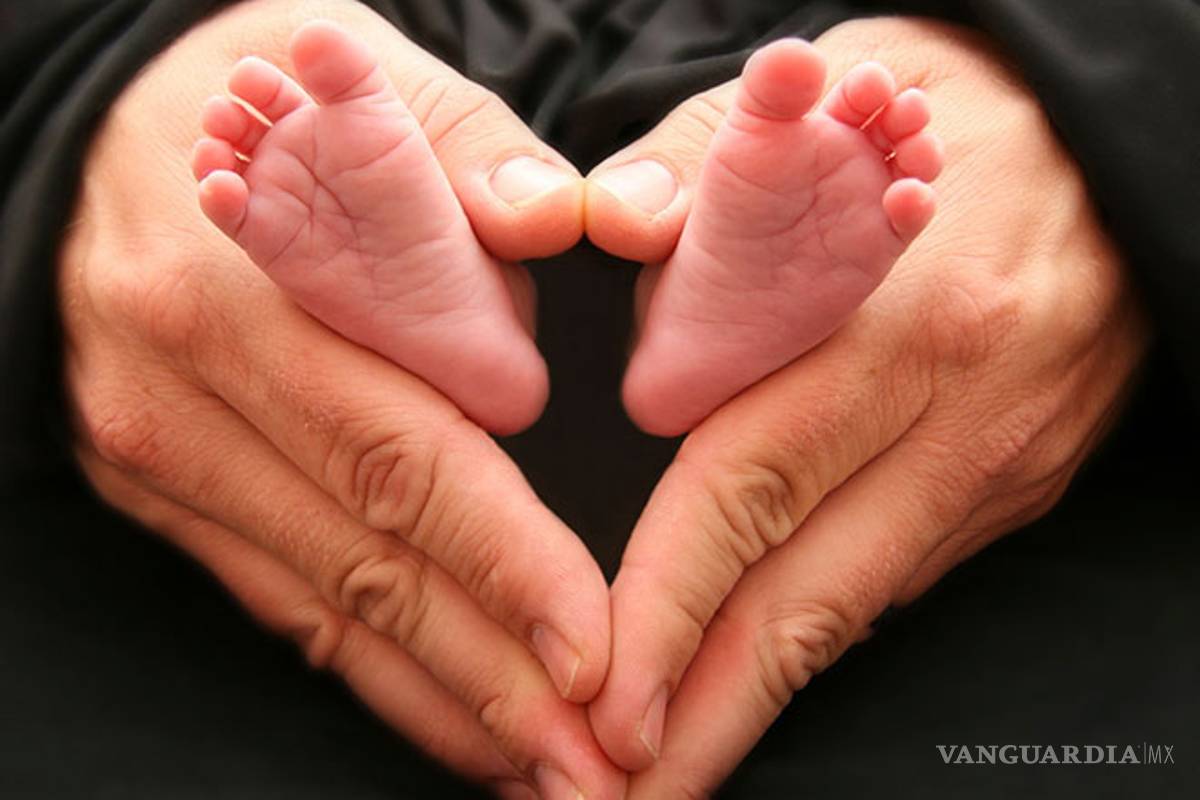 Líder del PAN condena el aborto: &quot;el no nacido merece protección jurídica&quot;