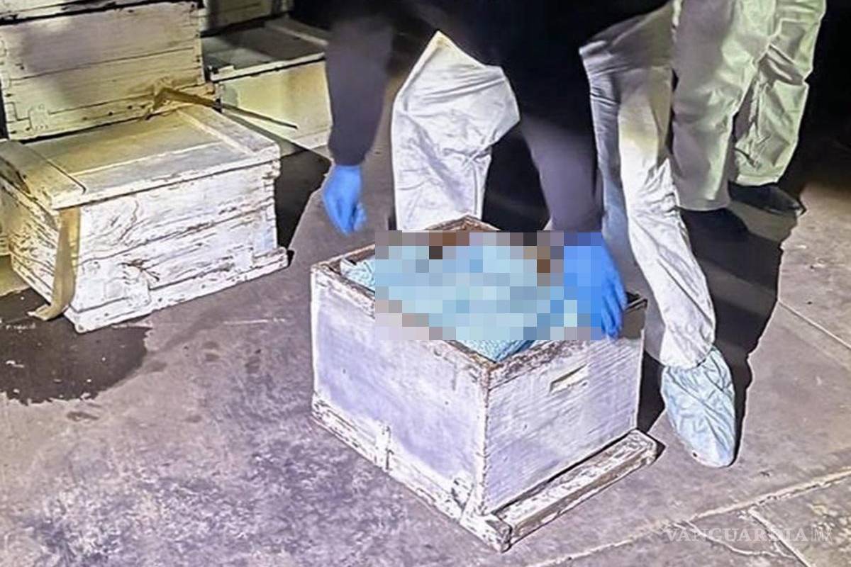 Coahuila contribuye a la lucha contra el fentanilo