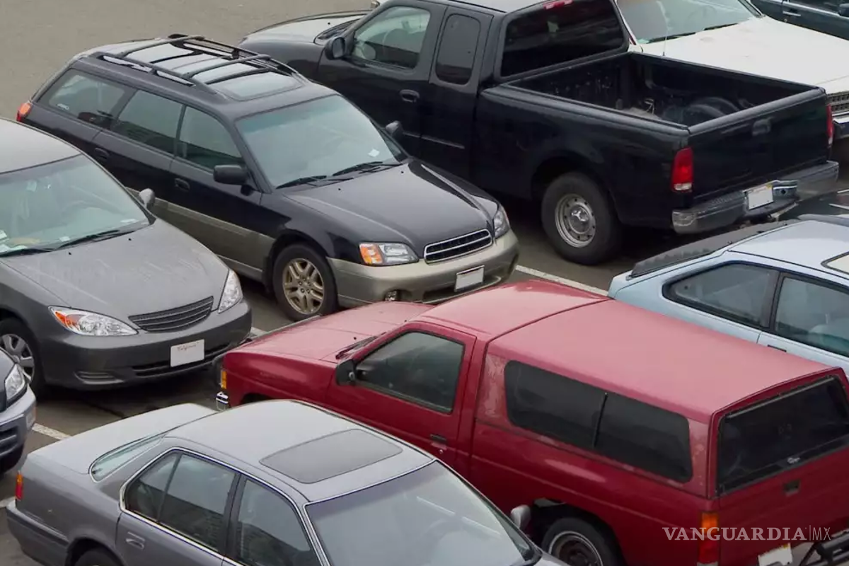 Regularizar autos ‘chocolate’ ha dejado ganancias al crimen organizado de más de 2 mil 200 mdd: AMDA