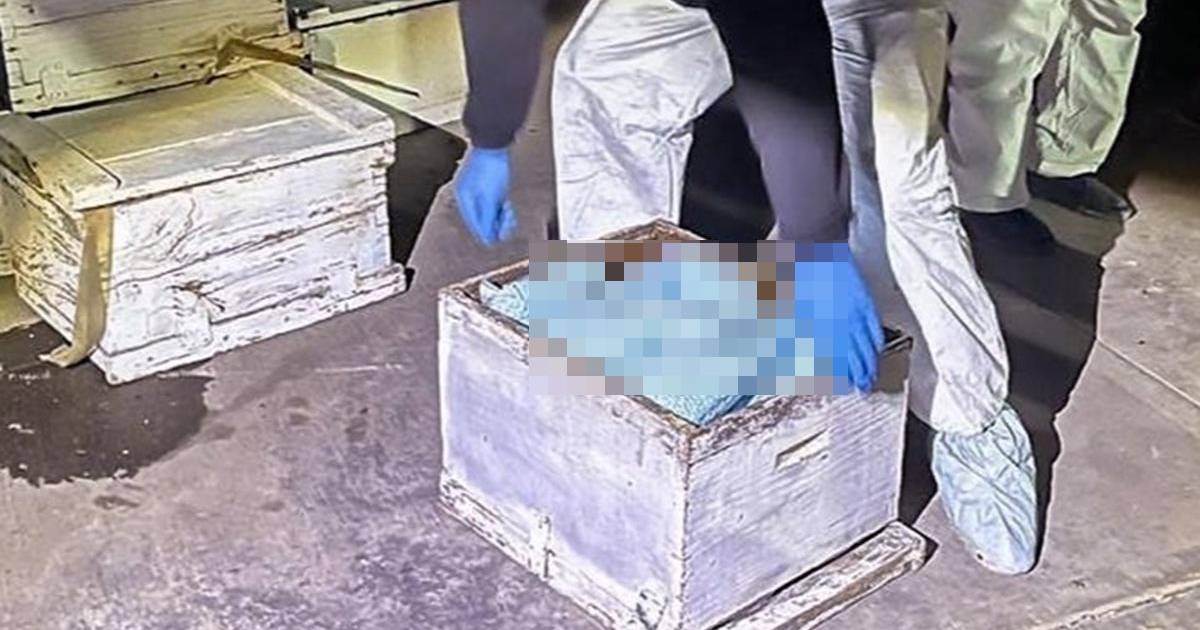 Coahuila contribuye a la lucha contra el fentanilo