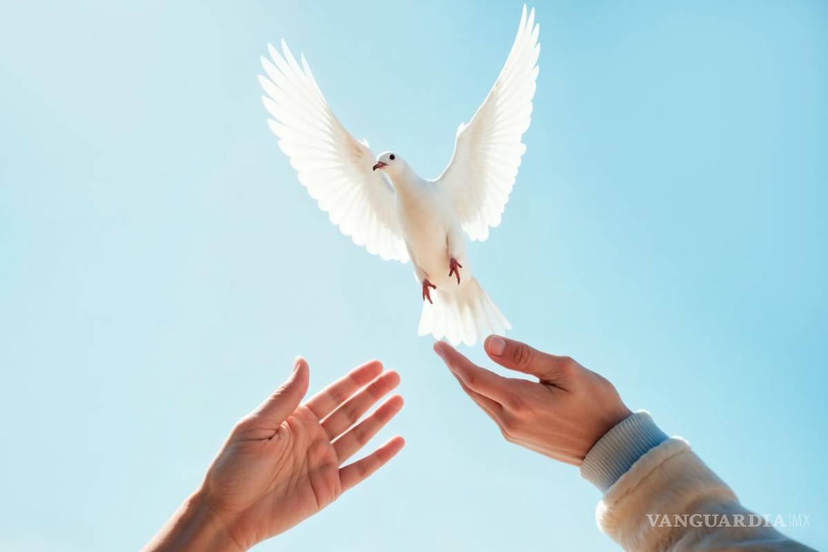 La cultura de la paz a través de la fiscalización superior