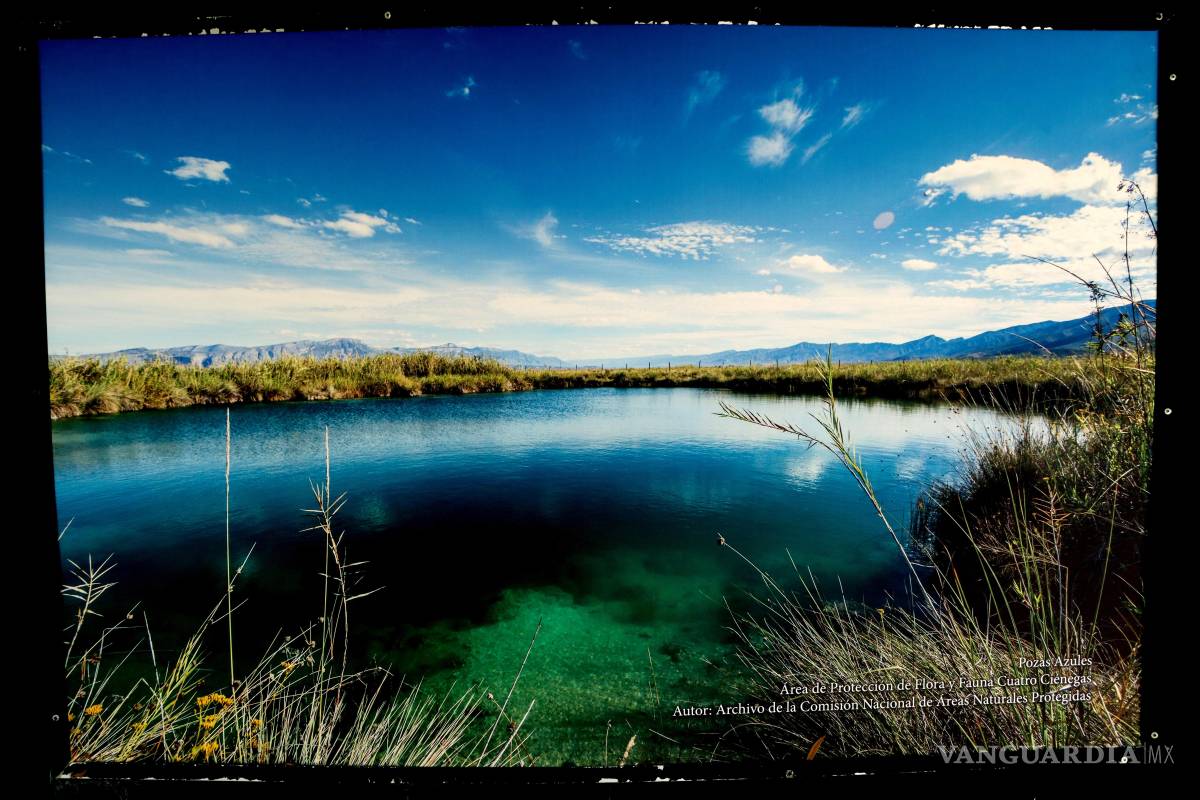 ¿Crees que algún sitio de Coahuila debe figurar entre las 7 Maravillas Naturales de América? Nomina tu favorito