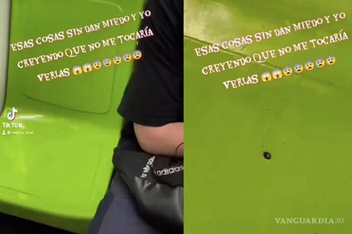 Denuncian usuarios presencia de chinches en Metro de la CDMX
