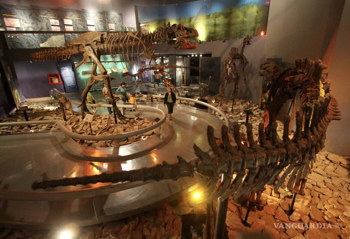 $!El Museo del Desierto también es arte.