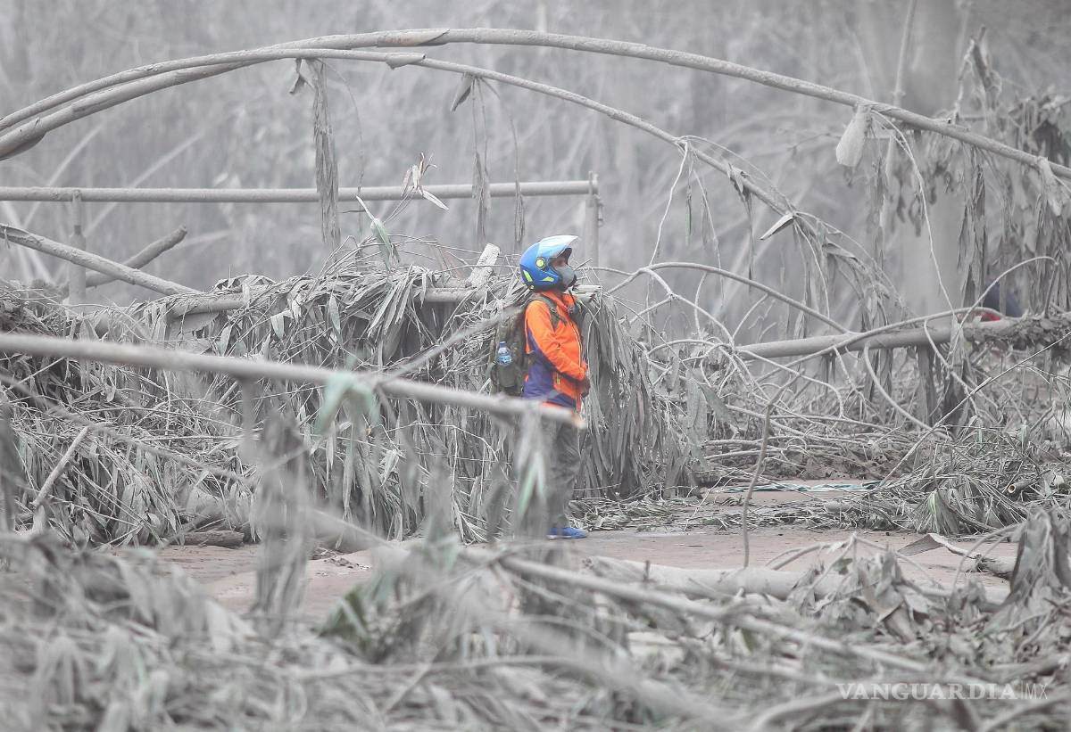 $!Un agente de la autoridad observa un área cubierta de ceniza procedente de la erupción del volcán Semeru. EFE/EPA/AMMAR