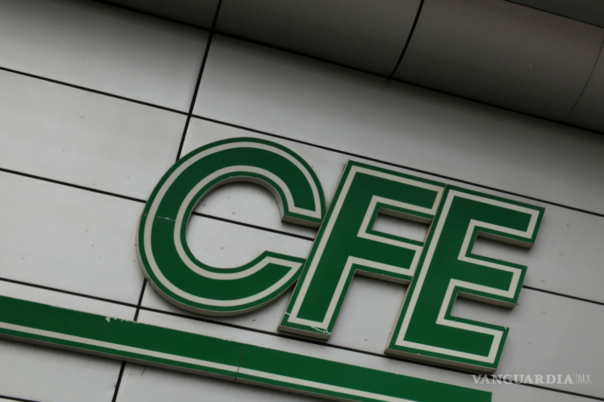 Sin licitar, CFE adjudica 10 mil millones de dólares en proyectos estratégicos