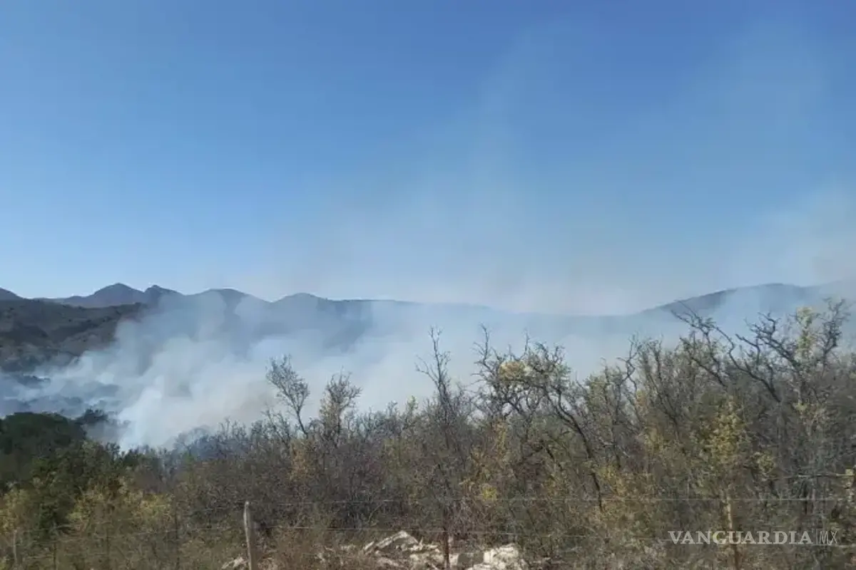 Controlan incendio forestal en rancho ‘Las Hayas’ que afectó tres hectáreas en Múzquiz