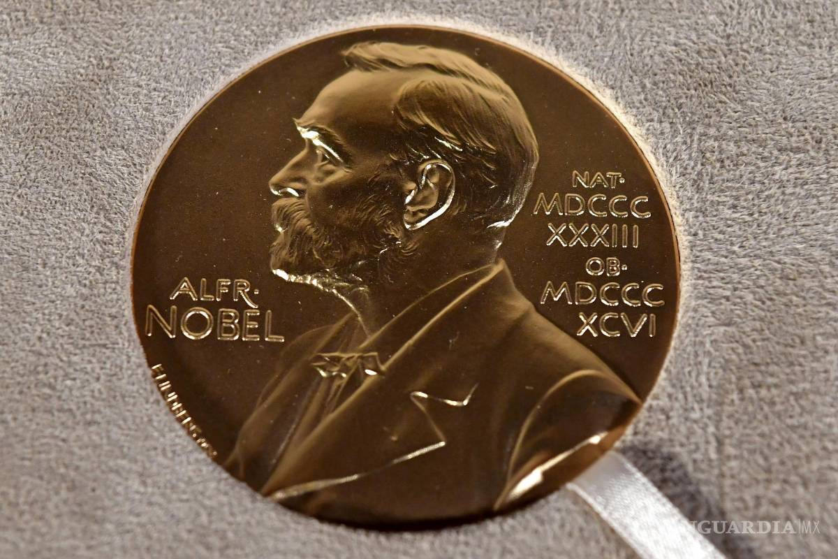 Nominan a EcoPeace, Women Wage Peace y Women of the Sun, activistas de paz en Gaza y Ucrania para Nobel de la Paz