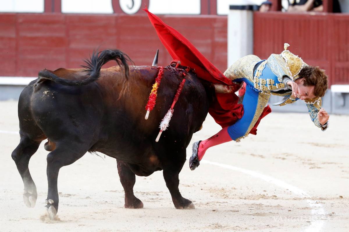 "Pensaba que me moría”, dice el torero español Román Collado