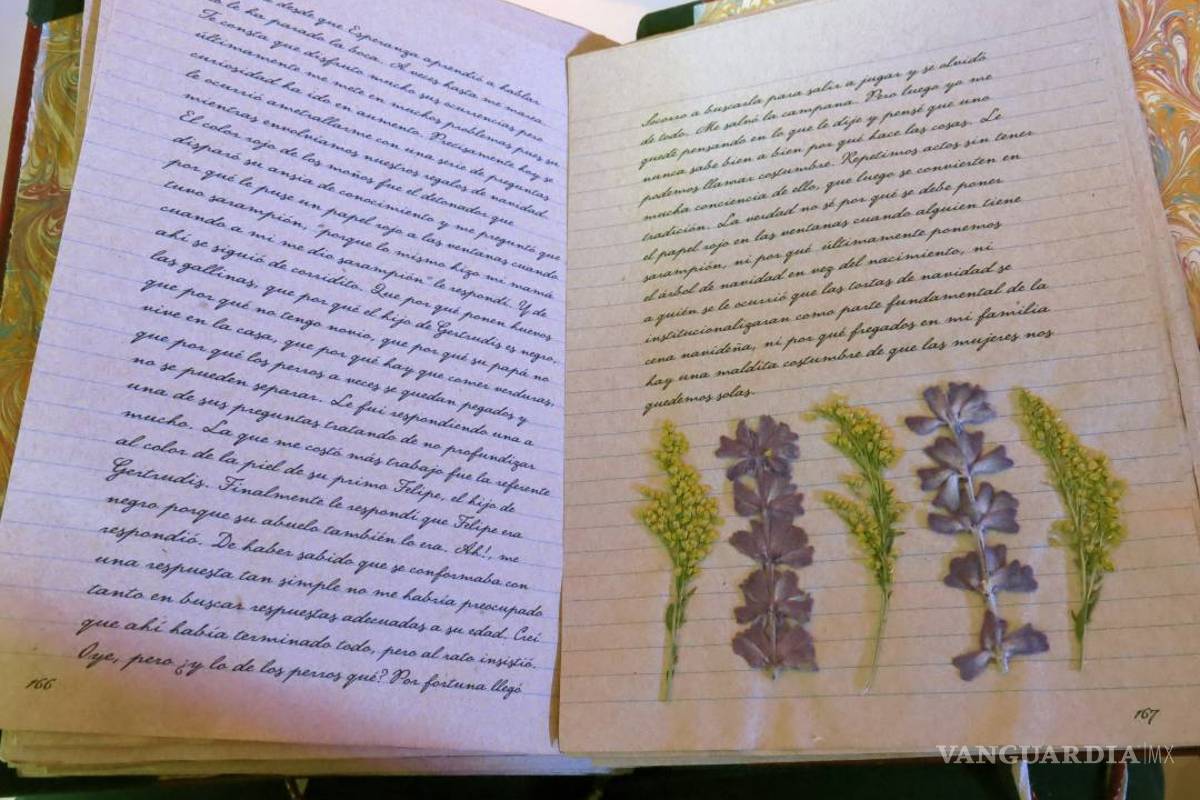 $!Convierte Laura Esquivel en trilogía "Como agua para chocolate"