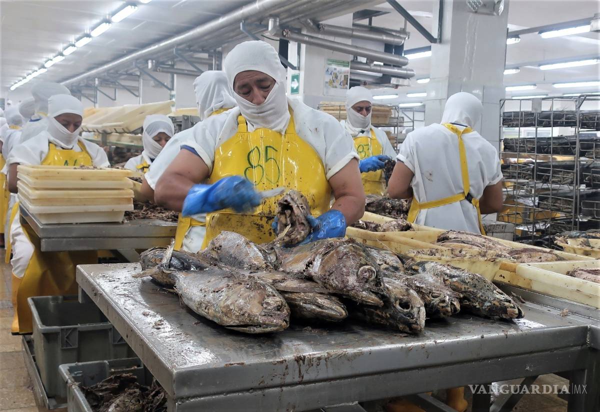 $!¿Sabias que las partes más nutritivas del pescado terminan en la basura?