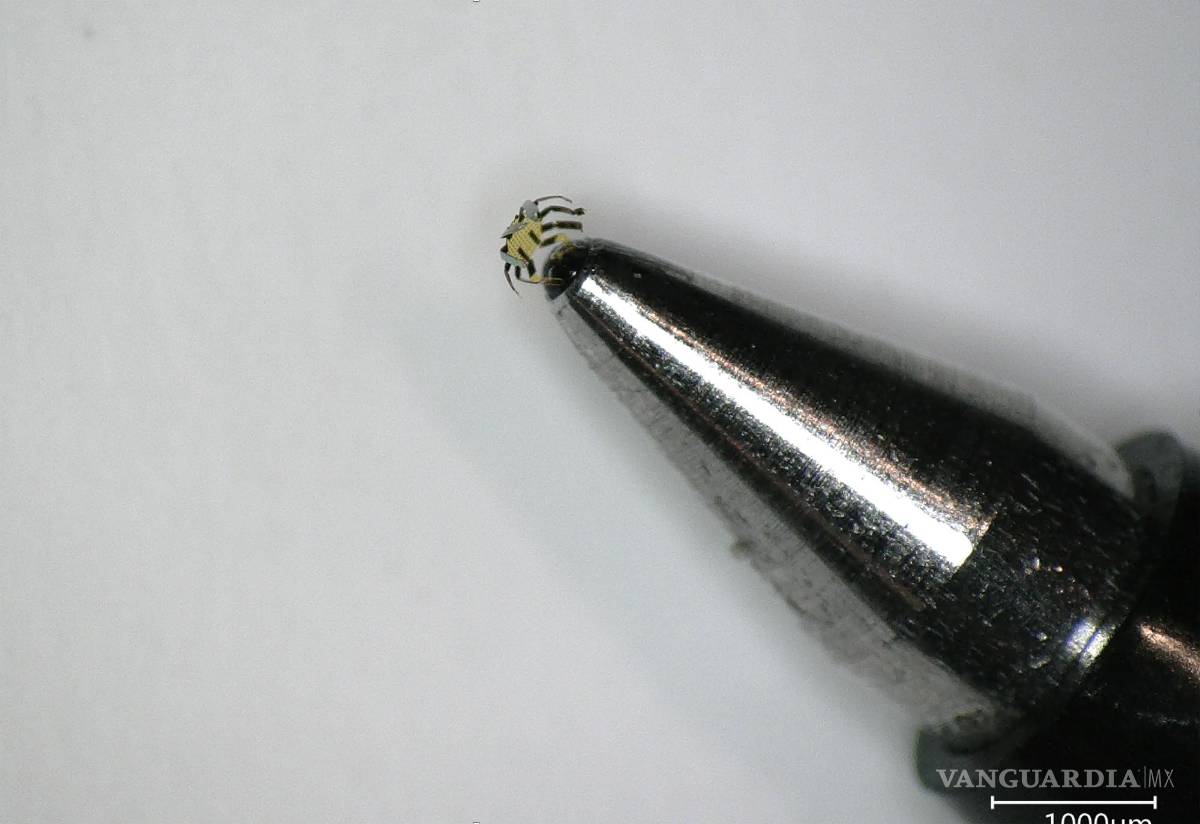 $!El robot, más pequeño que una pulga, en la punta de un bolígrafo.