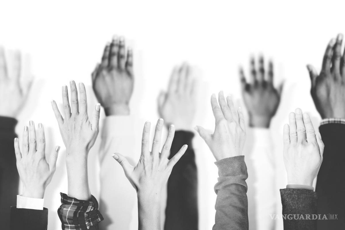 Información y participación. Allanando el camino a la incidencia efectiva