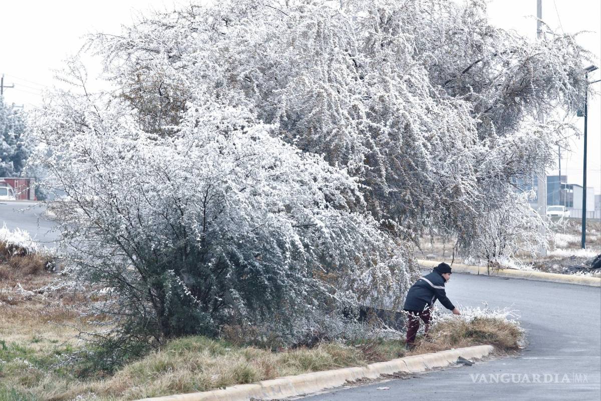 Tormenta invernal congela Saltillo; registran más de 20 accidentes viales