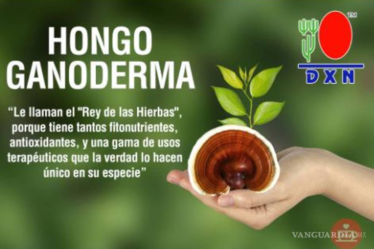 Afirman que hongo ayuda a personas con autismo