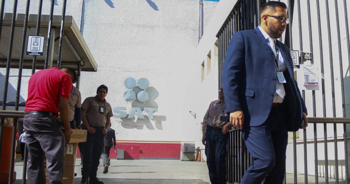 Yo nunca, nunca... ¿le he mentido al SAT?