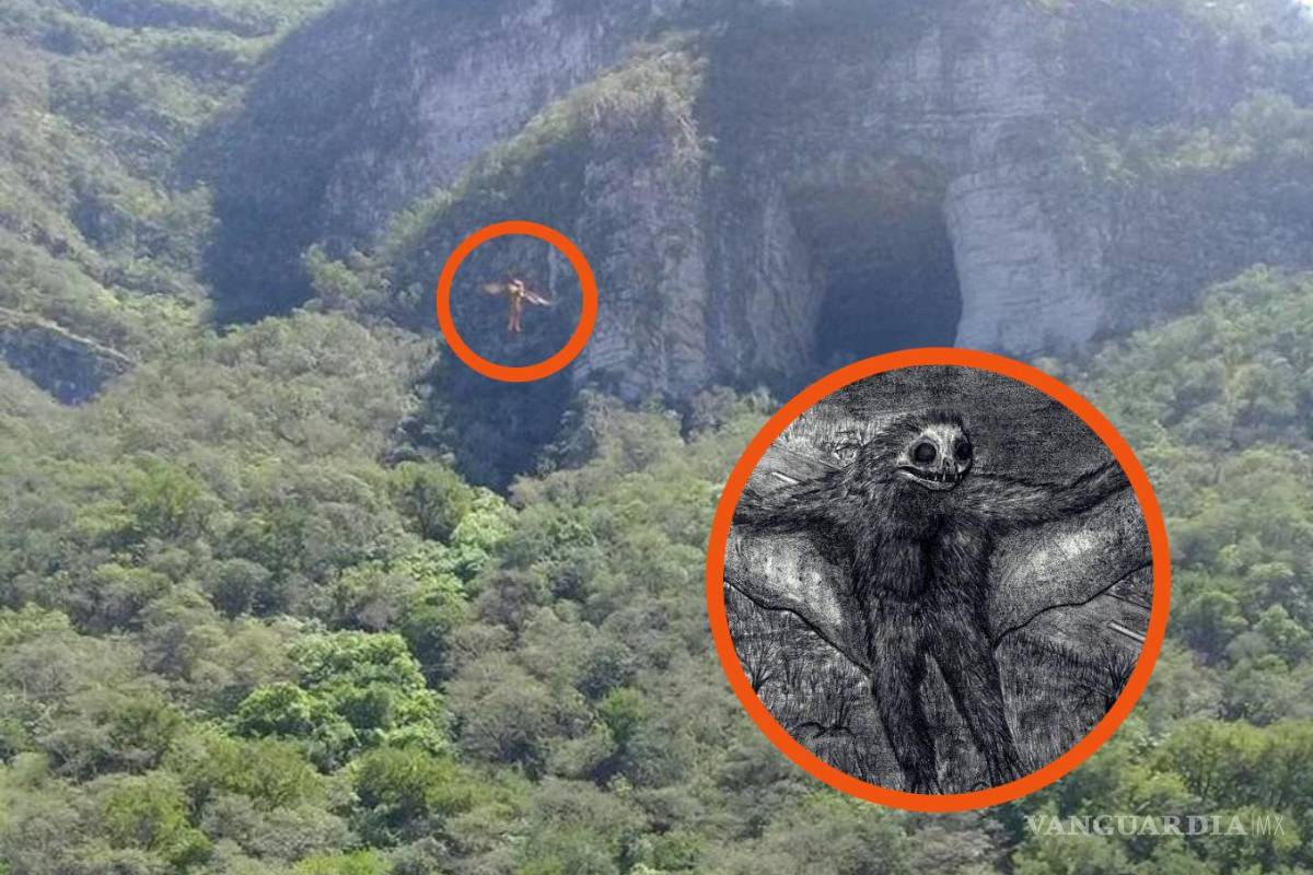 ¿Qué es el hombre pájaro?... la misteriosa criatura que presagia catástrofes y ha sido vista en Coahuila, Nuevo León y Tamaulipas (videos)