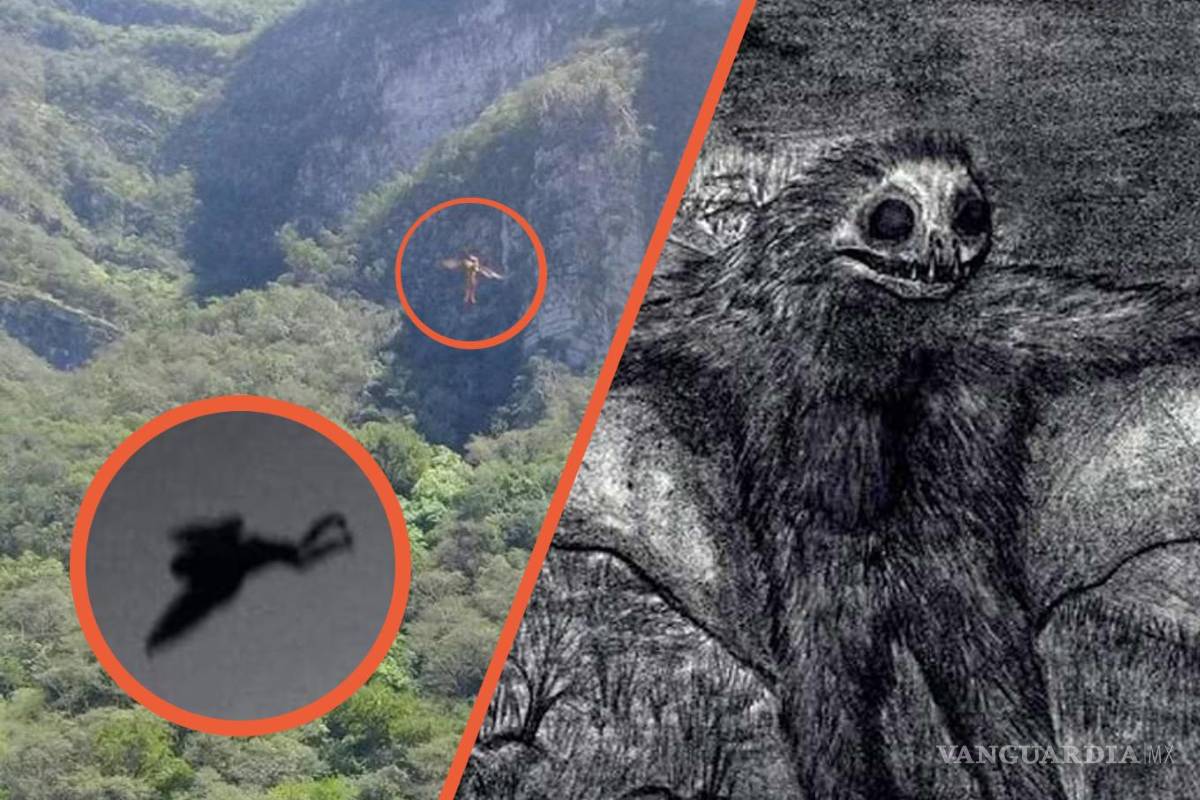 ¿Qué es el Hombre Pájaro?... la misteriosa criatura que presagia catástrofes; aquí los avistamientos en Coahuila, Nuevo León y Tamaulipas (videos)