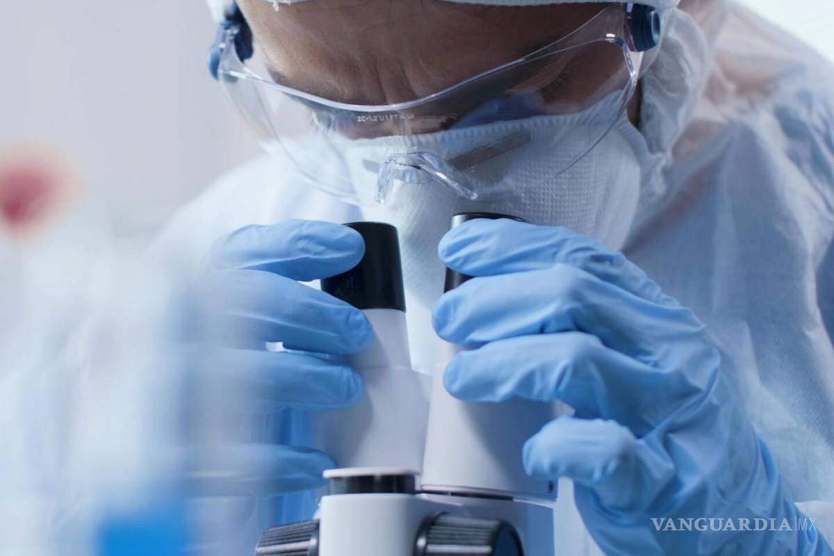 Diputados proponen regular la medicina basada en la regeneración celular