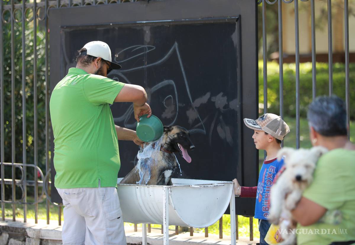 $!La Dirección de Salud Pública ofreció detecciones médicas, orientación nutricional y vacunación para mascotas, sin costo alguno.