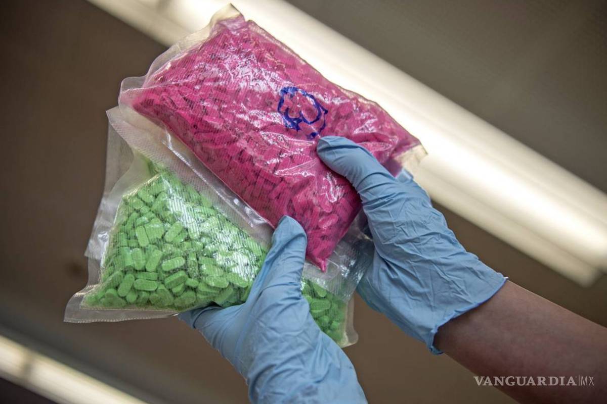 Dan golpe internacional a redes ilegales de Internet